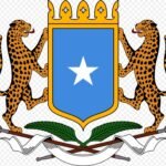 Federal Government of Somalia